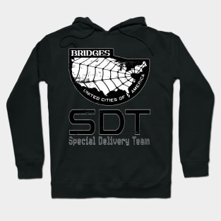 SDT logo - White border. Hoodie